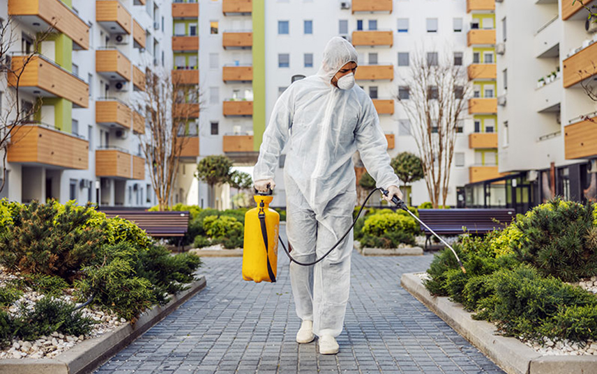 Kokulu ve Kokusuz Böcek İlaçlama Nasıl Yapılır?
